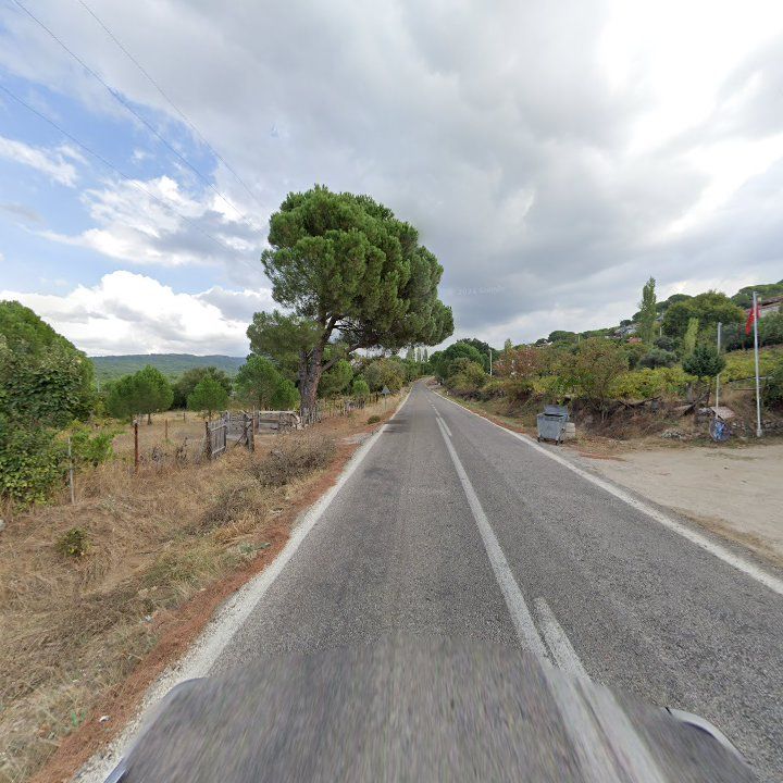Fotoğraf 10