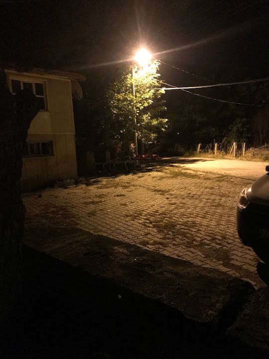 Örlemiş Texsas