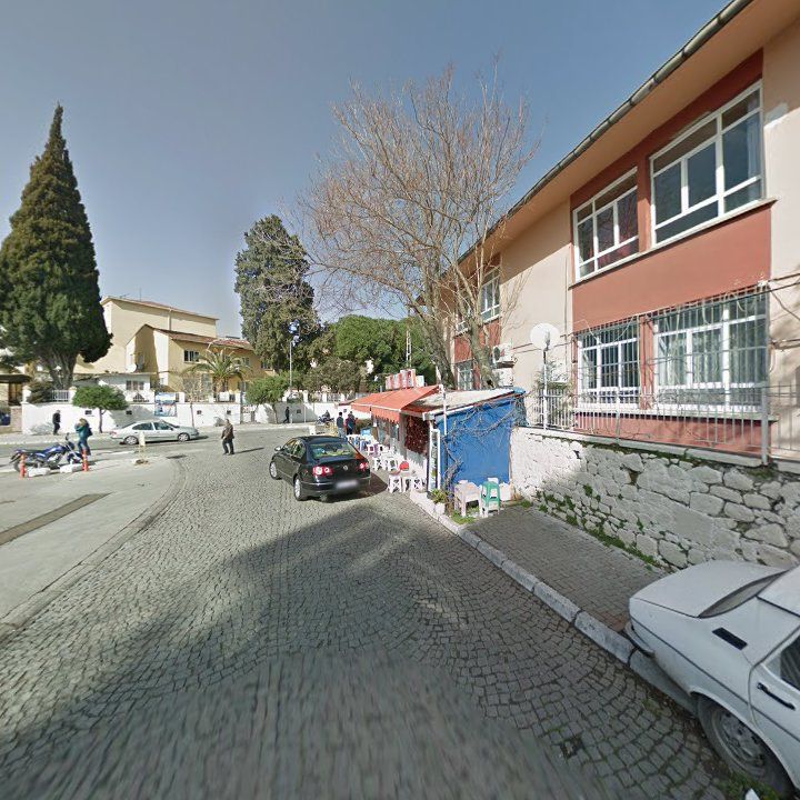 Fotoğraf 10