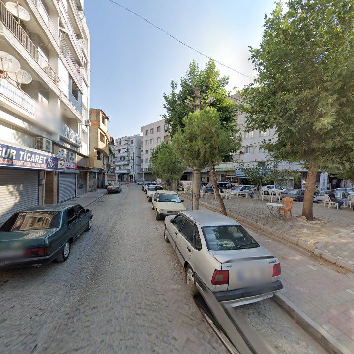 Fotoğraf 7