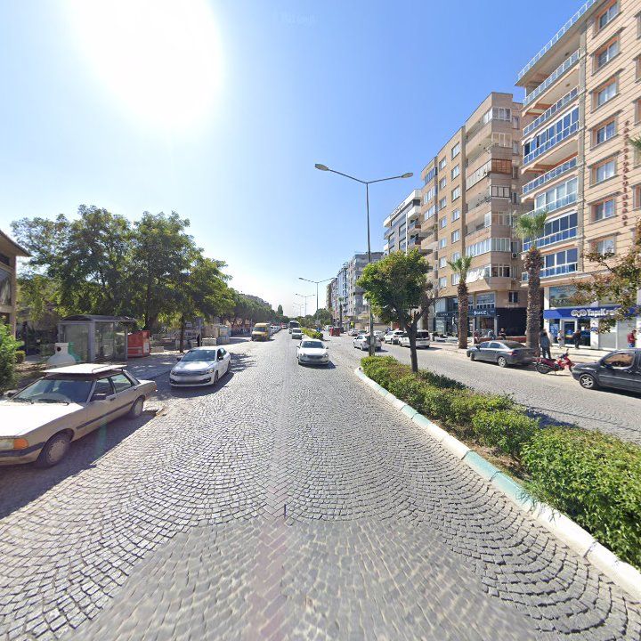Fotoğraf 8