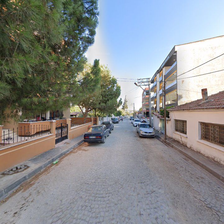 Fotoğraf 3