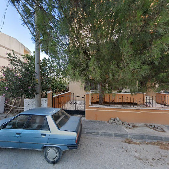 Palmiye pastanesi
