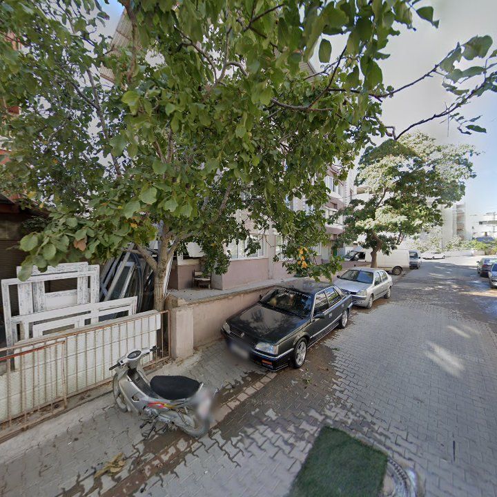 Fotoğraf 8