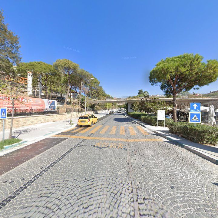 Fotoğraf 9