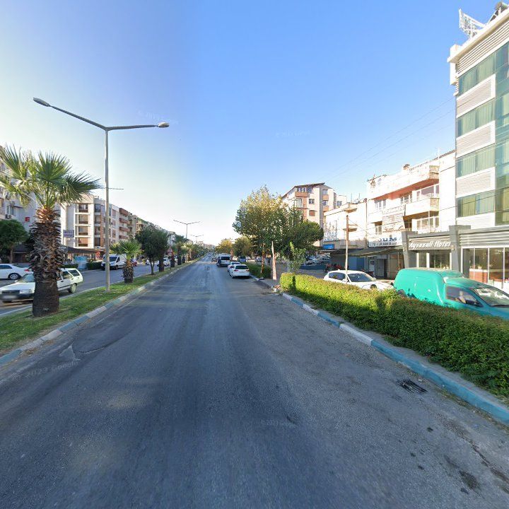 Fotoğraf 10
