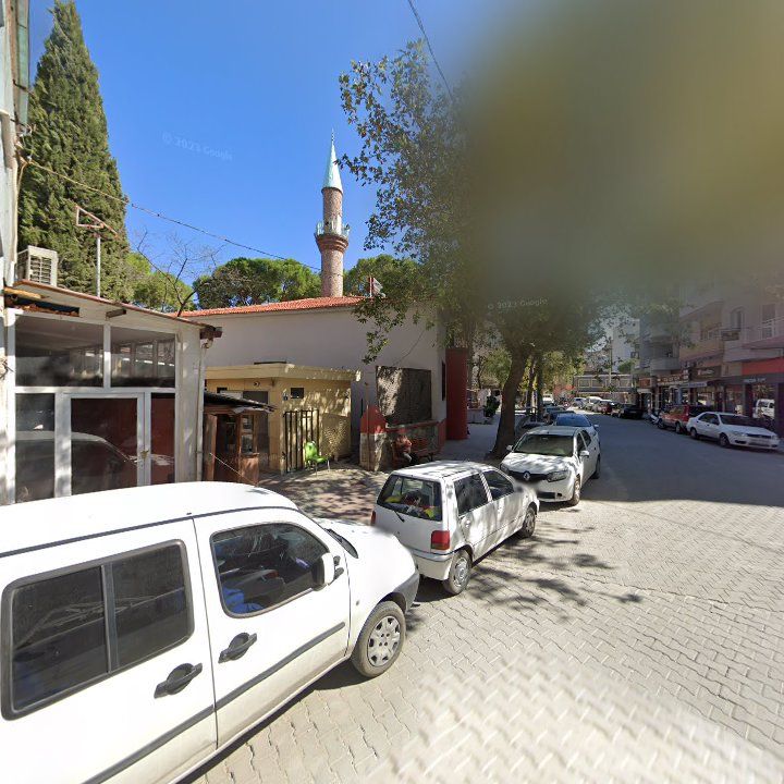 Fotoğraf 8