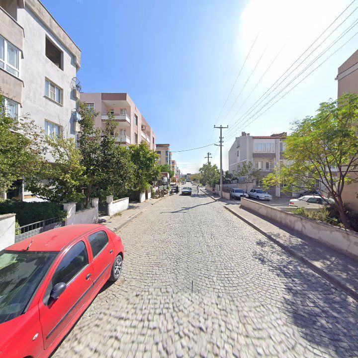 Fotoğraf 7