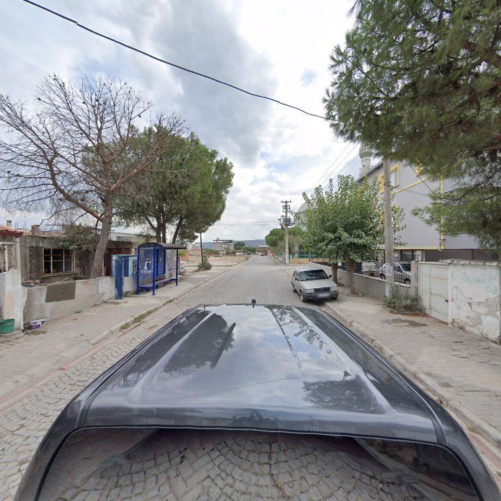 Fotoğraf 3