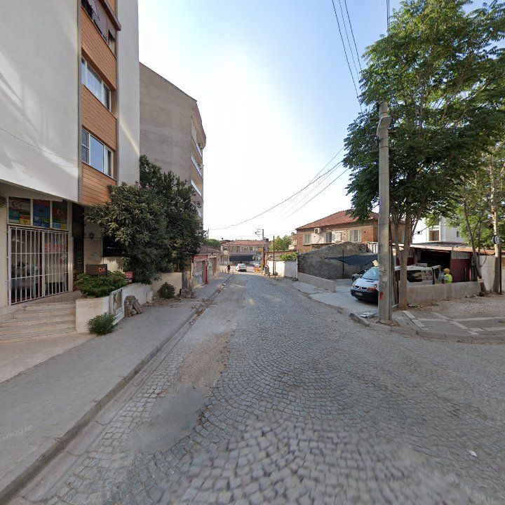 Fotoğraf 10