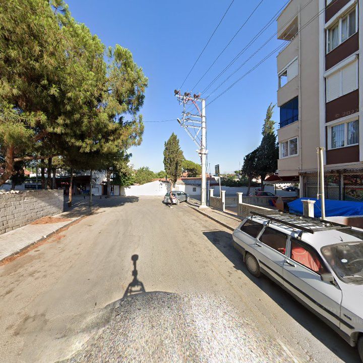 Fotoğraf 7