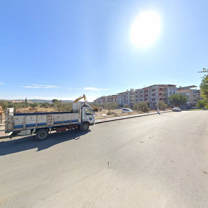 Fotoğraf 8