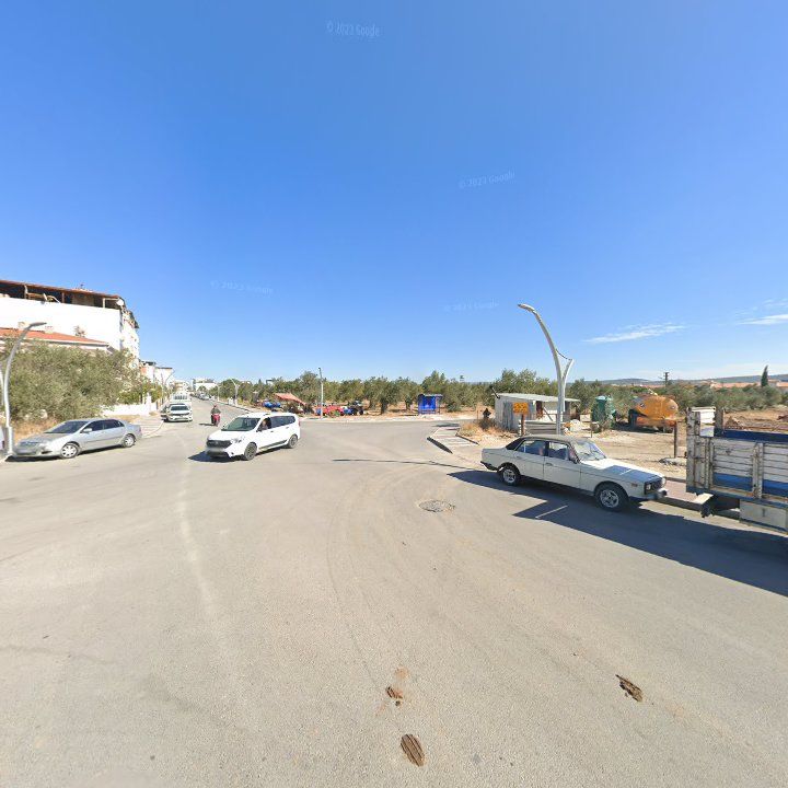 Fotoğraf 7