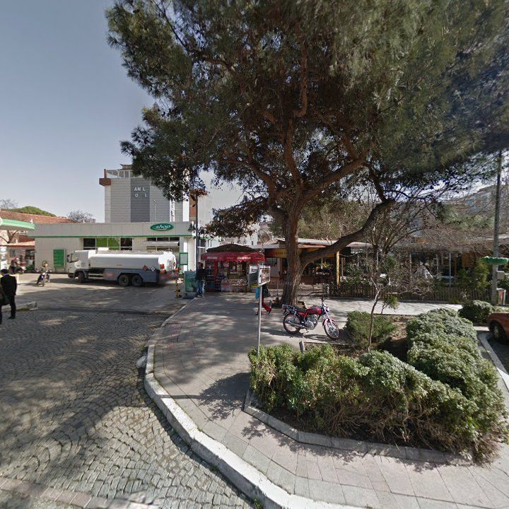 Fotoğraf 7