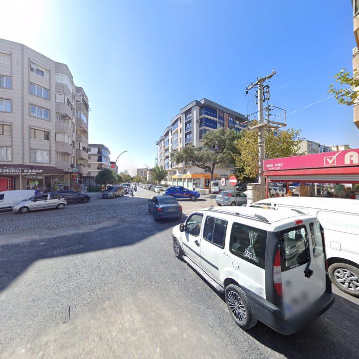 Fotoğraf 9