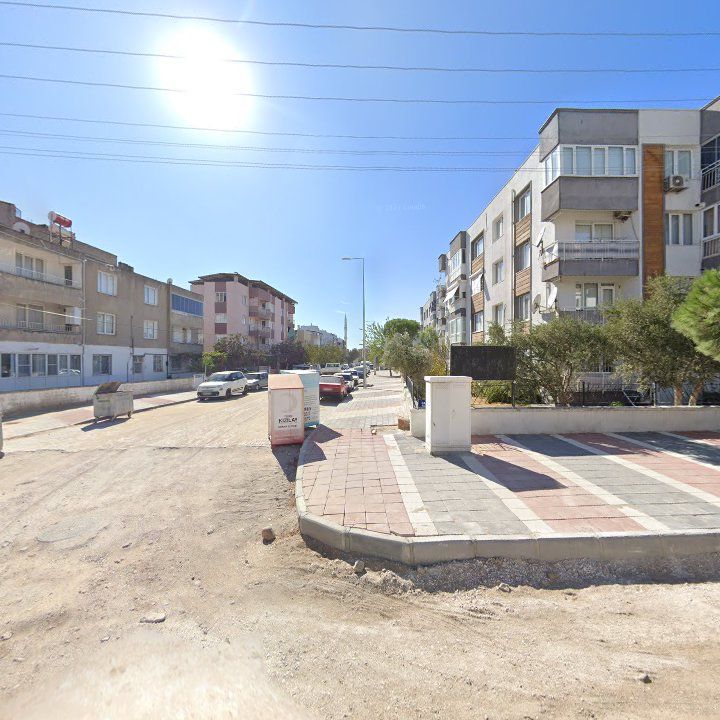 Fotoğraf 6