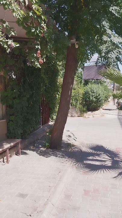 Fotoğraf 11
