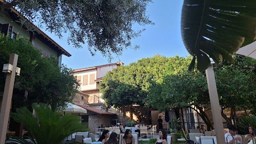 Fotoğraf 25