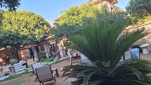 Fotoğraf 26