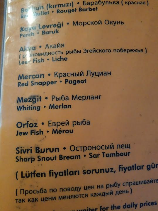 Fotoğraf 21