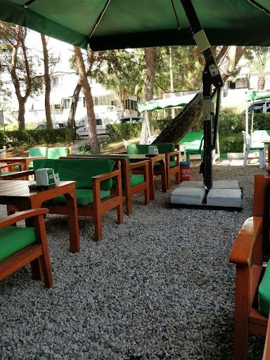 Fotoğraf 12