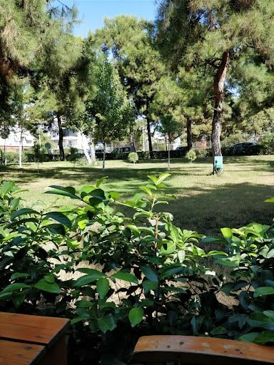 Fotoğraf 13
