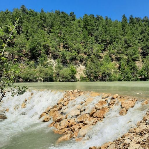 Yorum fotoğrafı 6