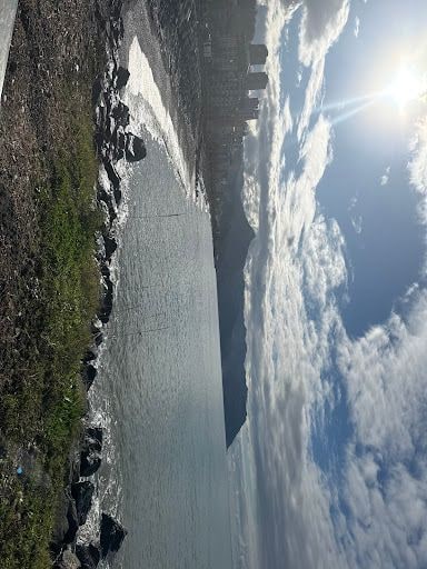 Fotoğraf 15