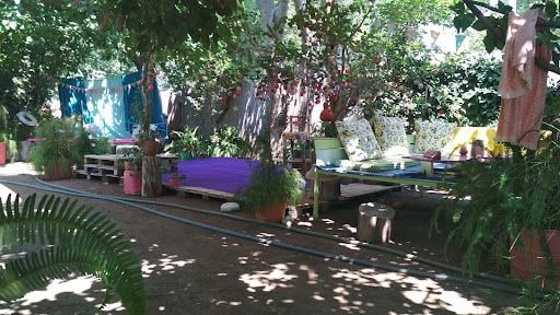 Yorum fotoğrafı 6