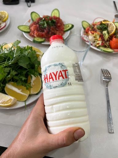 Yorum fotoğrafı 6
