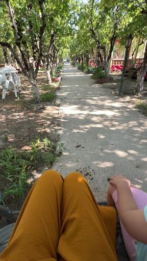 Fotoğraf 18