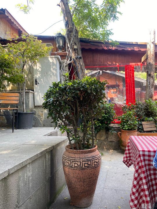 Yorum fotoğrafı 4