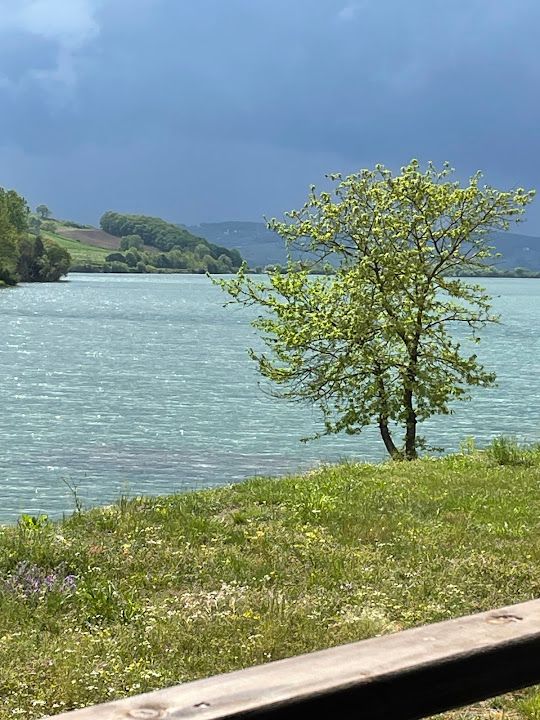 Fotoğraf 51