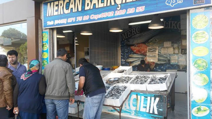 Mercan Balıkçılık