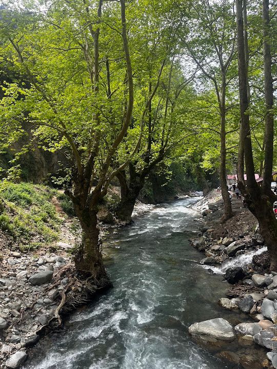 Yorum fotoğrafı 3