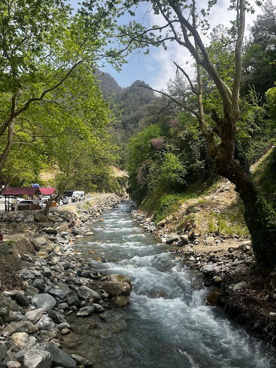Yorum fotoğrafı 4