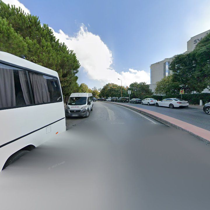 Fotoğraf 12