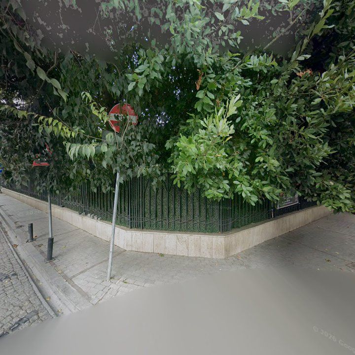 Fotoğraf 13