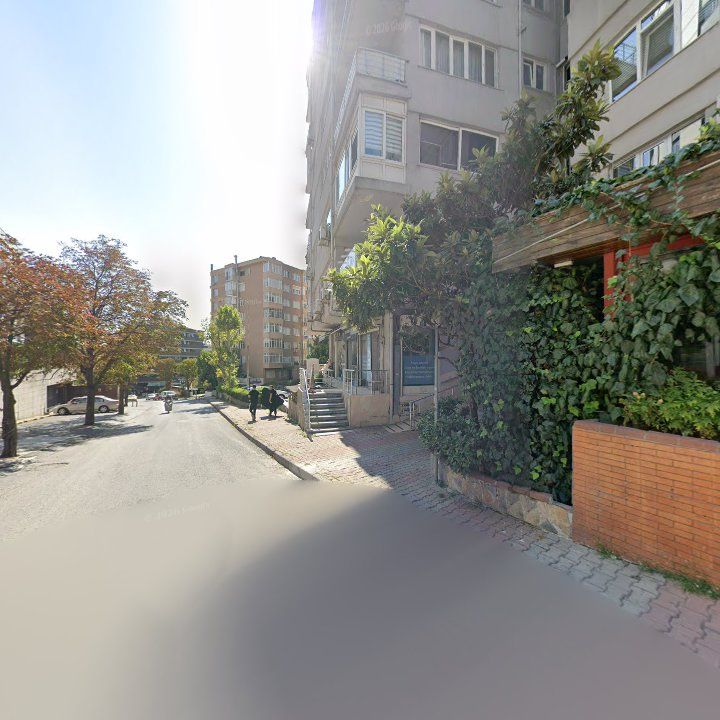 Fotoğraf 12