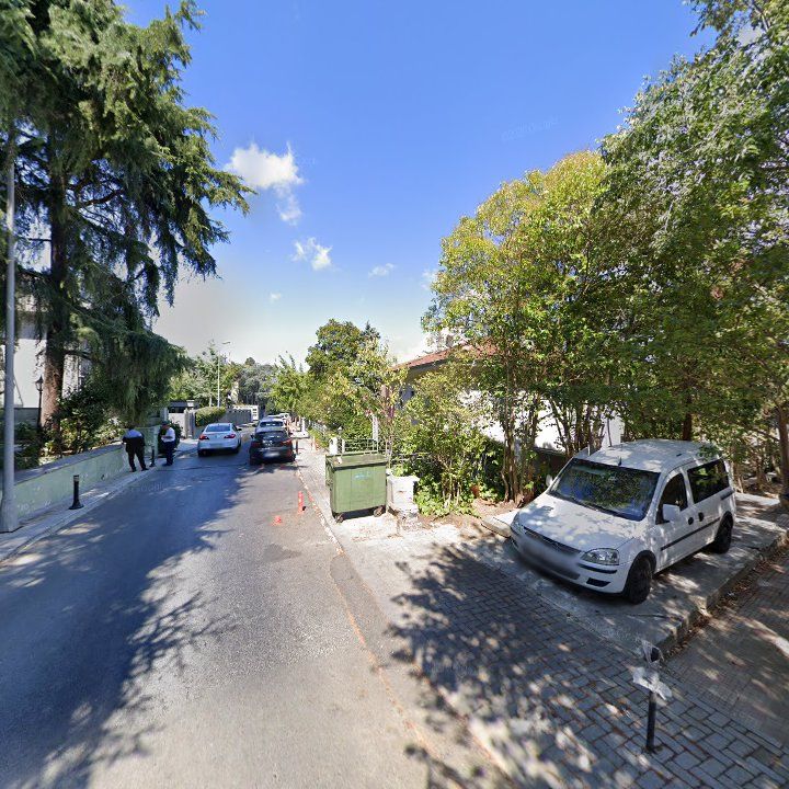 Fotoğraf 12