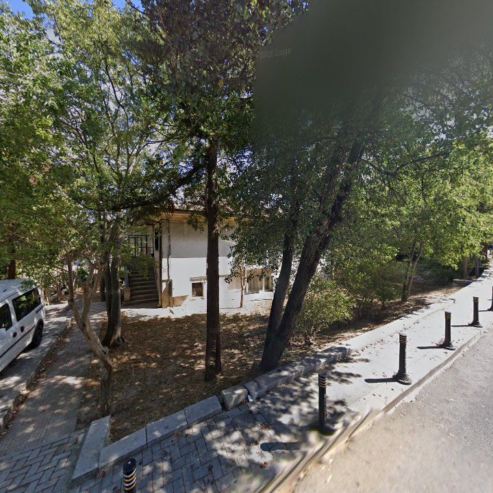 Fotoğraf 13