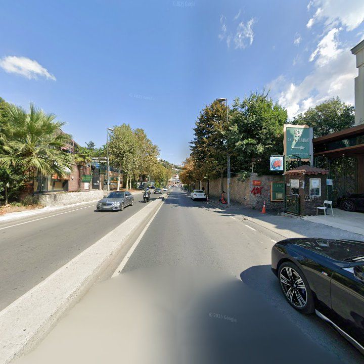 Fotoğraf 17