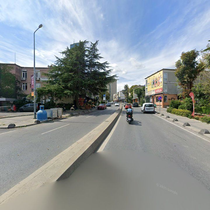 Fotoğraf 13