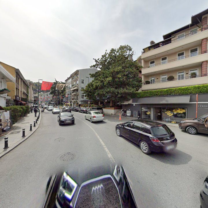 Fotoğraf 14