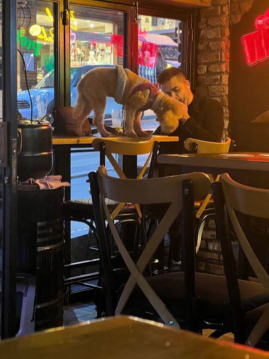 Beşiktaş Pub Bar
