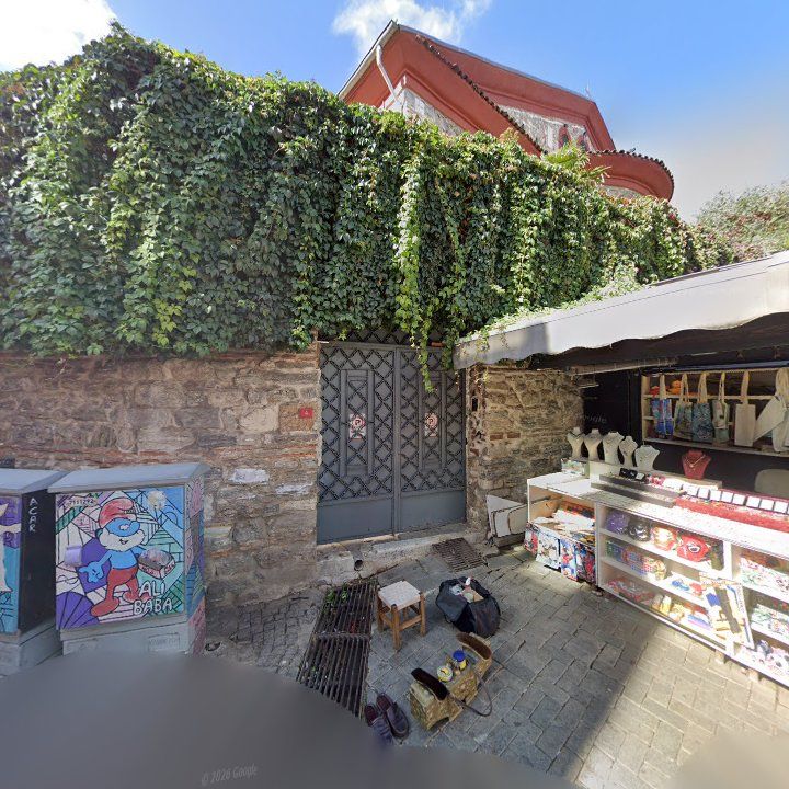 Fotoğraf 8