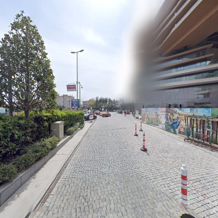 Fotoğraf 12