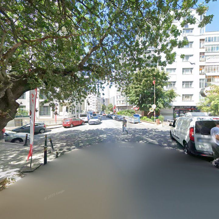 Fotoğraf 12
