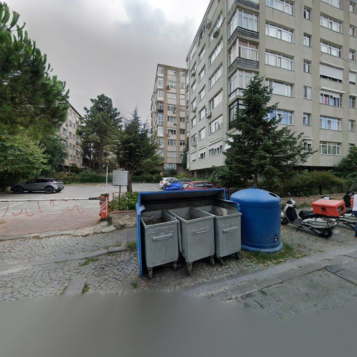 Fotoğraf 10