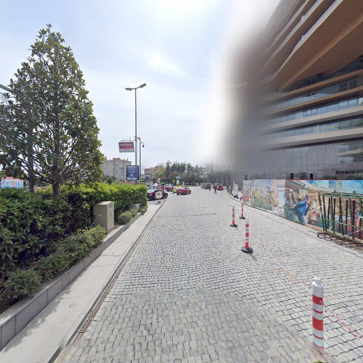 Fotoğraf 14